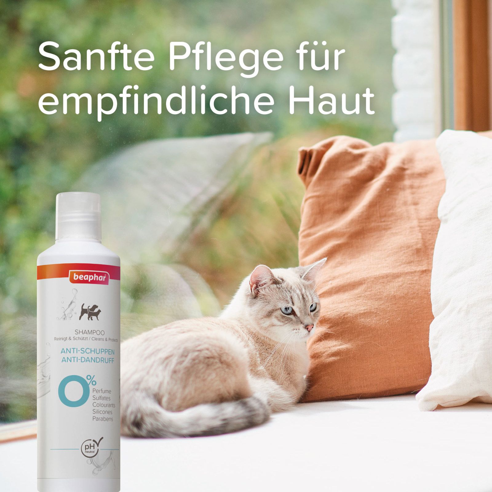 Beaphar Shampoo-Flasche, weiß mit farbigen Etikett. Text: Anti-Schuppen, 0% Parfüm, Sulfate, Silikone, Parabene. Katze sitzt am Fenster.