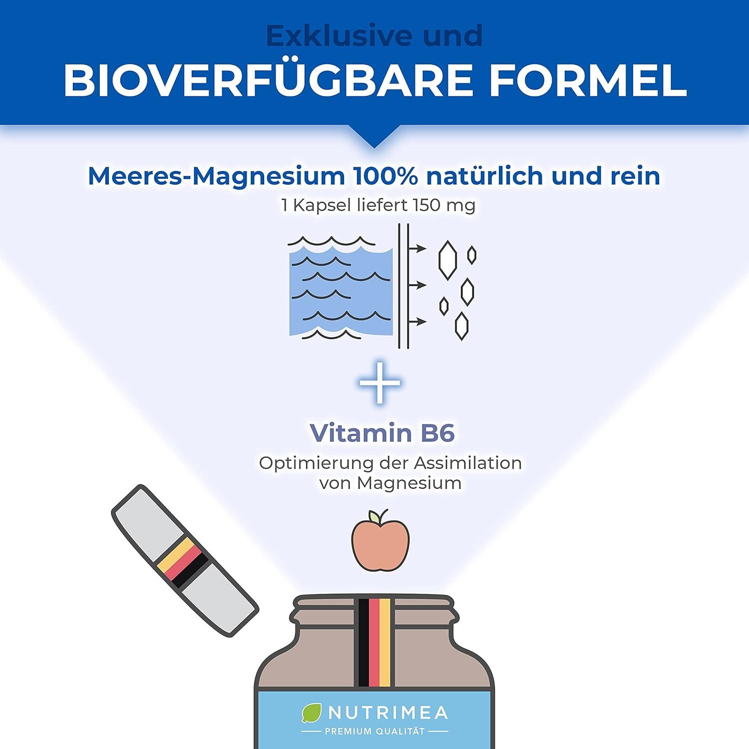 Grafik: Meeres-Magnesium 100% natürlich. 1 Kapsel liefert 150 mg. Vitamin B6 für bessere Magnesium-Assimilation. Produktflasche.