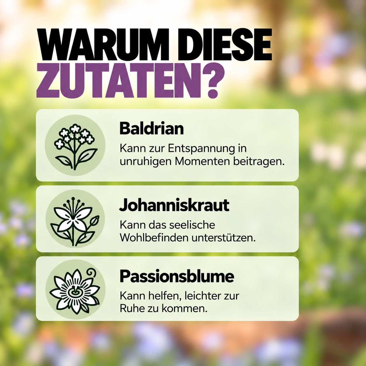 Wolfsbacher Natur Relax Dog: Ruhe & Relax Snack. Dose mit Hundesnacks, einige Snacks liegen daneben.