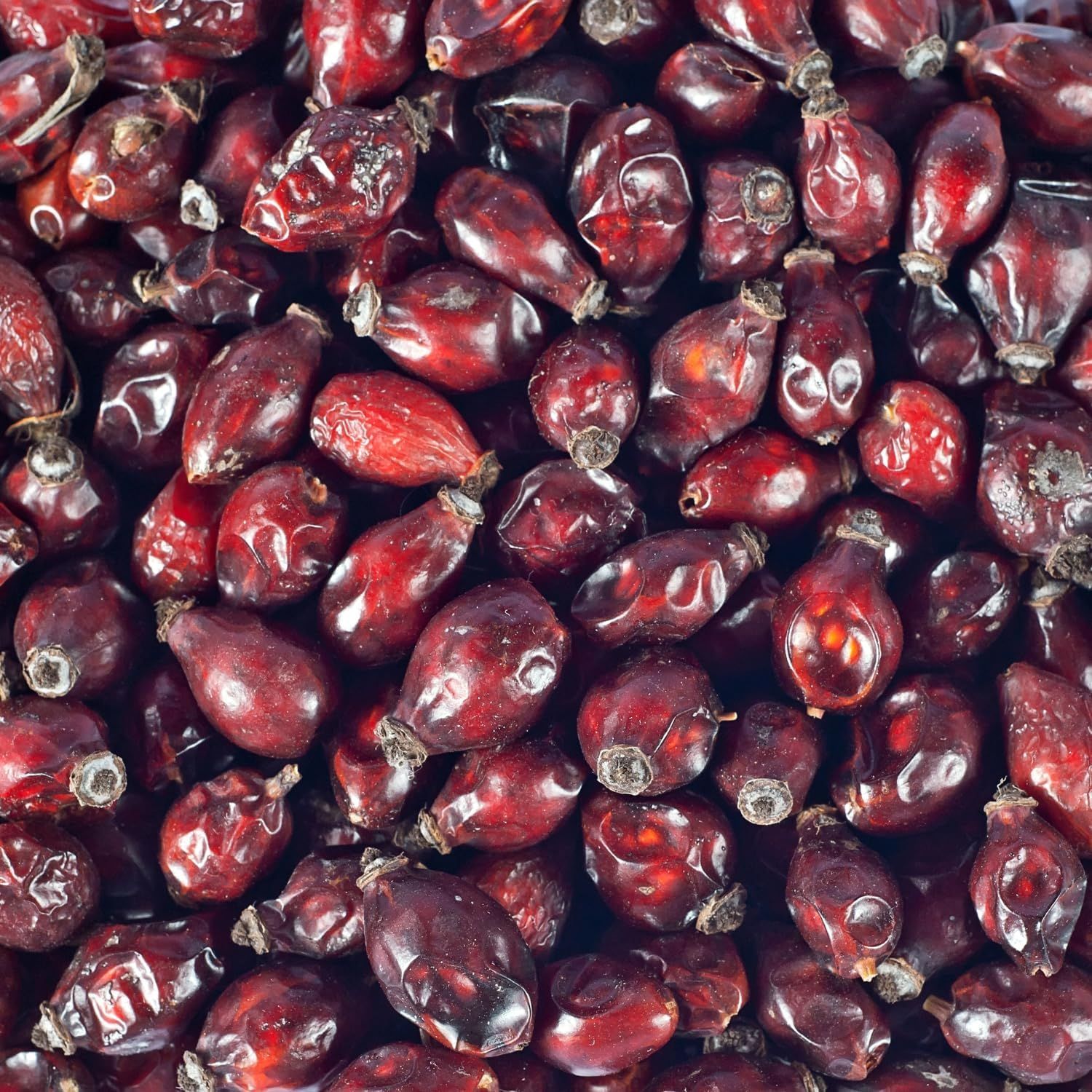 Dunkelrote, getrocknete Hagebutten. Nahaufnahme, viele Früchte. Oberfläche strukturiert.