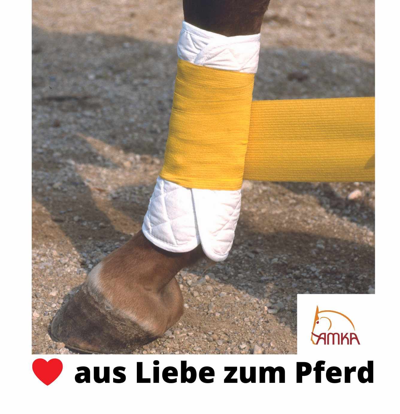 Bandagierkissen mit Horse & Rider Logo  Set mit 4 Stk.