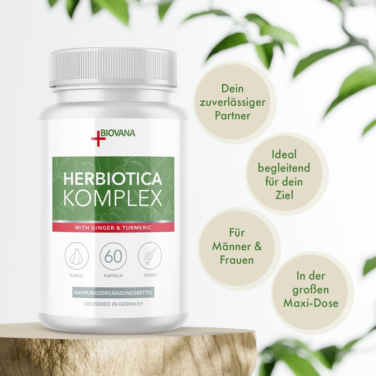 Weiße Flasche mit Kapseln. Aufschrift: Herbiotica Komplex. Mit Ingwer & Kurkuma. 60 Kapseln. Marke: Biovana. Auf Holzsockel.