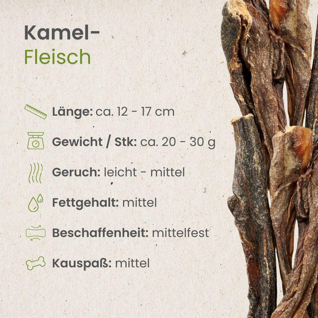 Getrocknete Kamel-Fleischstreifen, Länge ca. 12-17 cm.