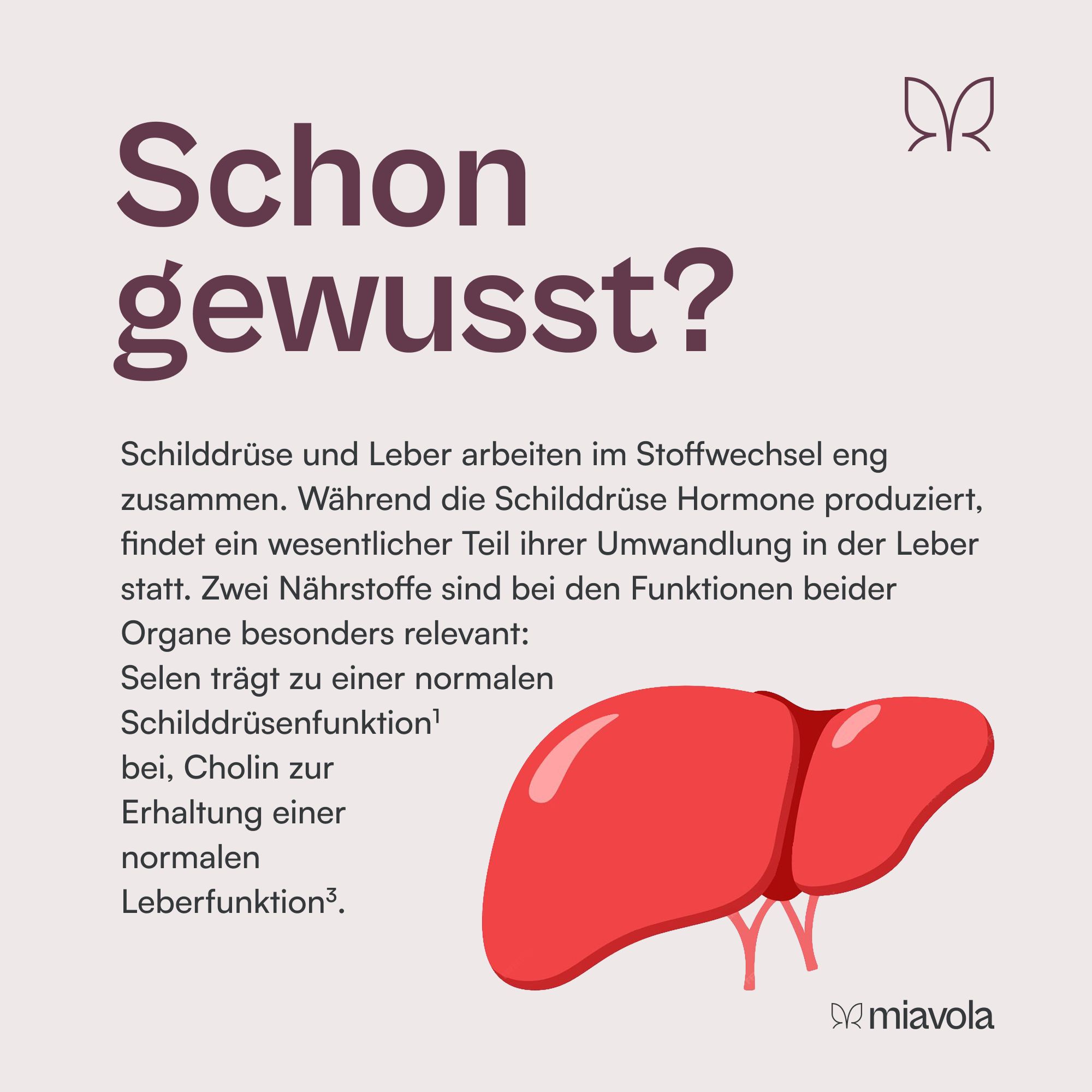 Der Umwandler® Leber-Komplex von miavola