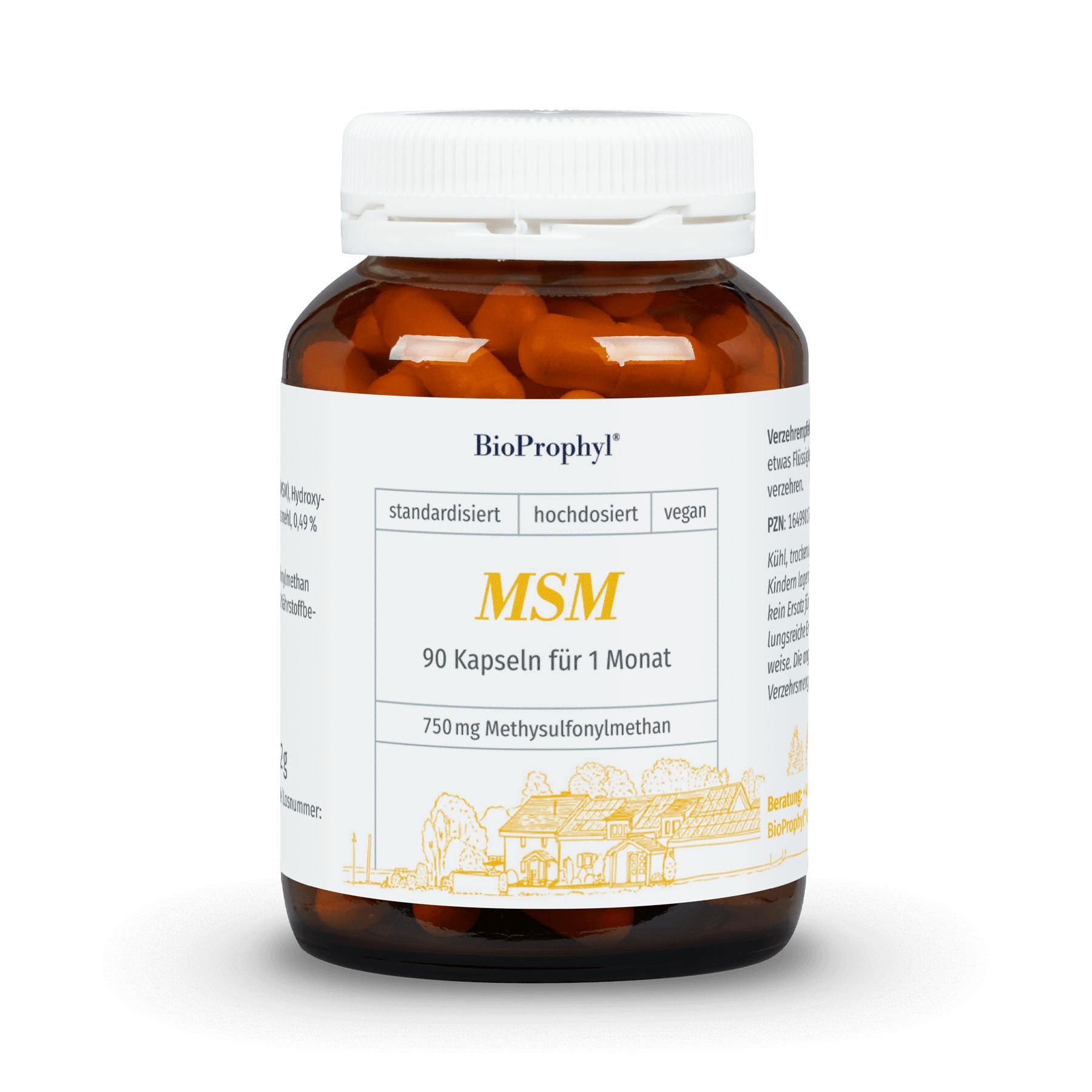 Braune Glasflasche mit weißen Deckel. Etikett mit "BioProphyl MSM", "90 Kapseln für 1 Monat" und "750 mg Methylsulfonylmethan".