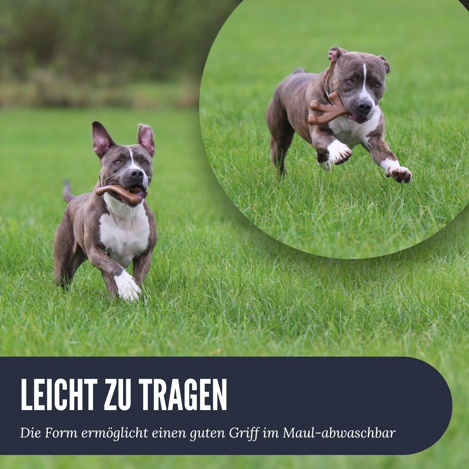 Hund rennt mit Kauspielzeug im Maul. Text: LEICHT ZU TRAGEN. Hund im Gras.