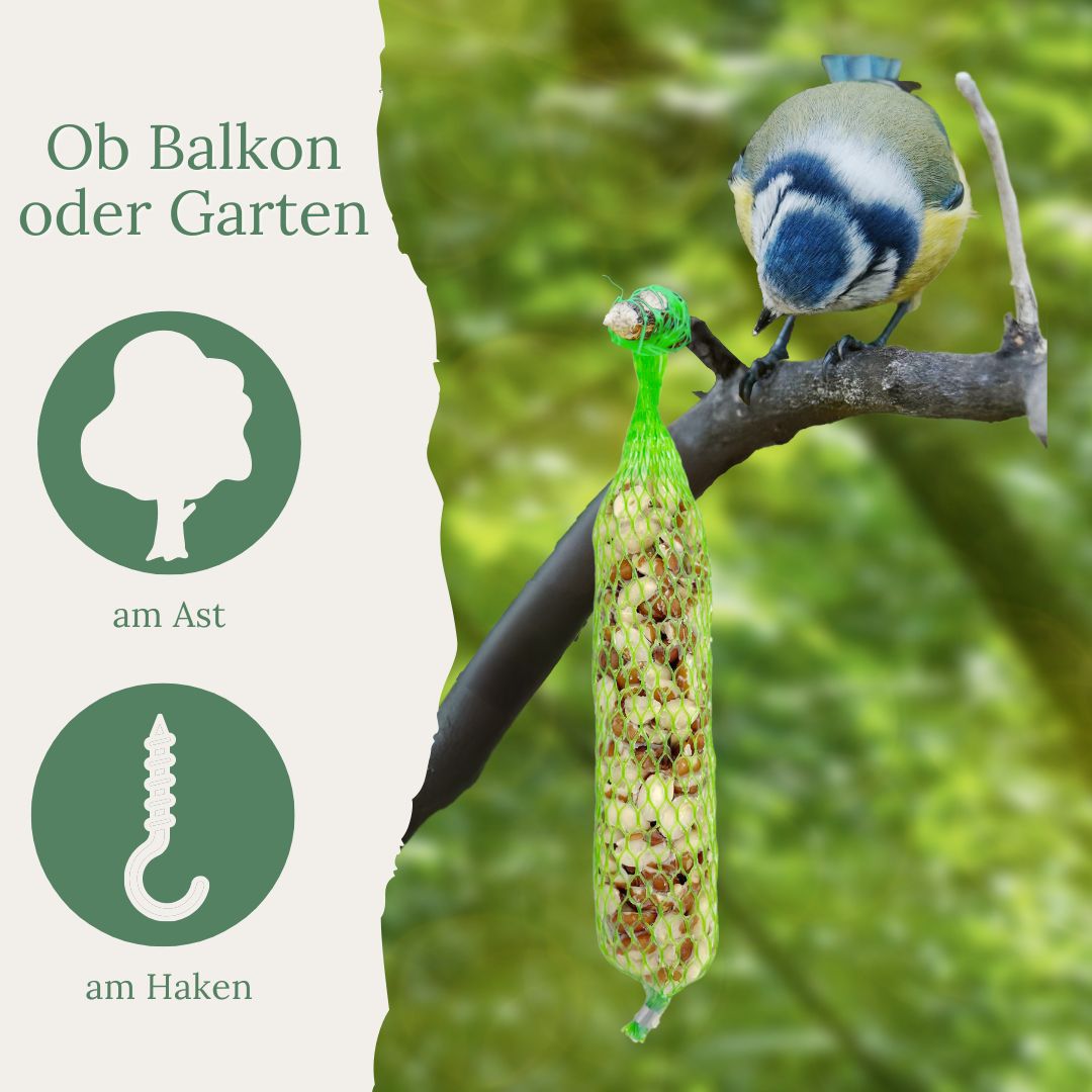 Orni Nusszapfen für Wildvögel