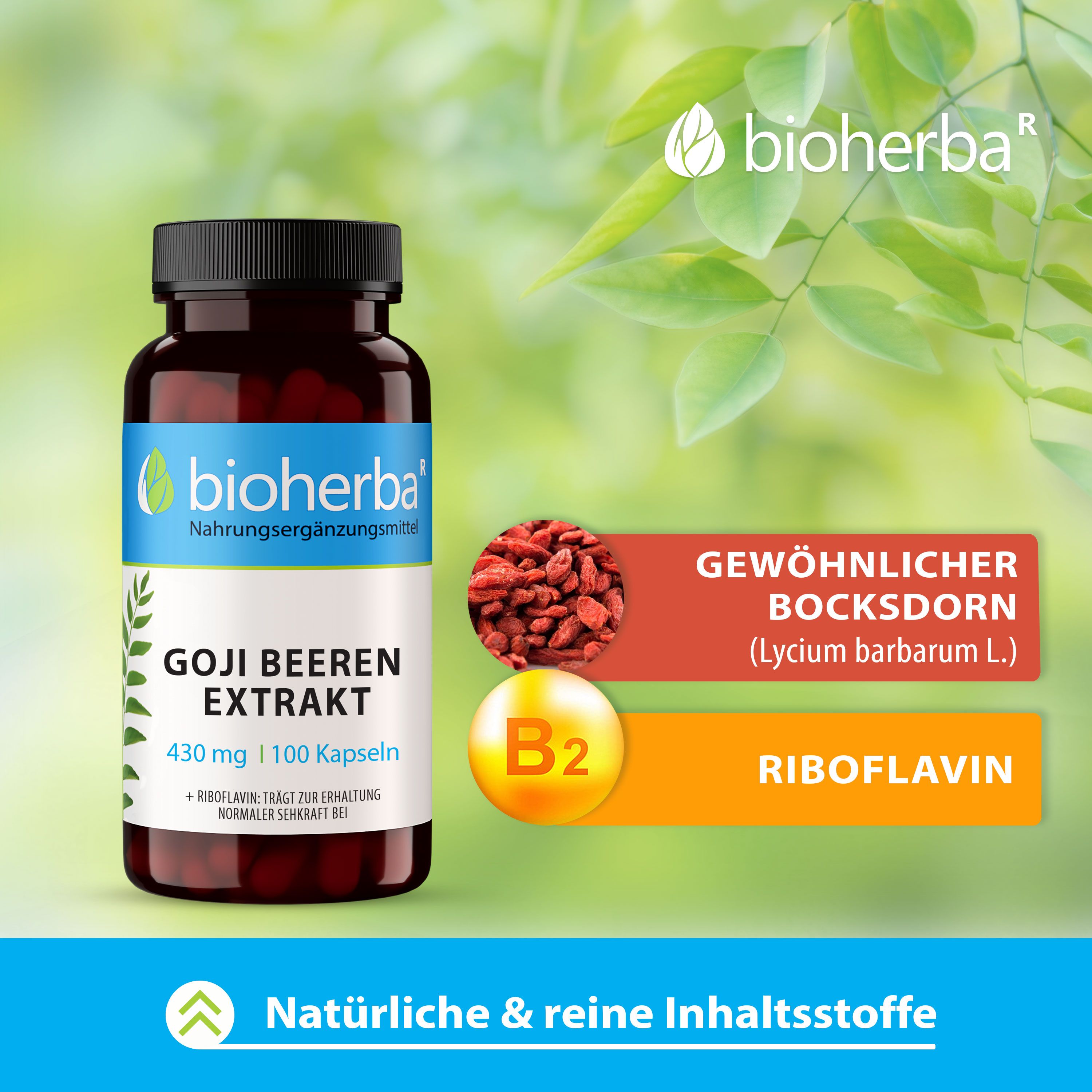 Bioherba Goji Beeren Extrakt Kapseln