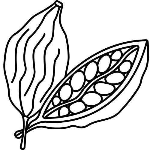 Alteya Organics Karminöl 100%