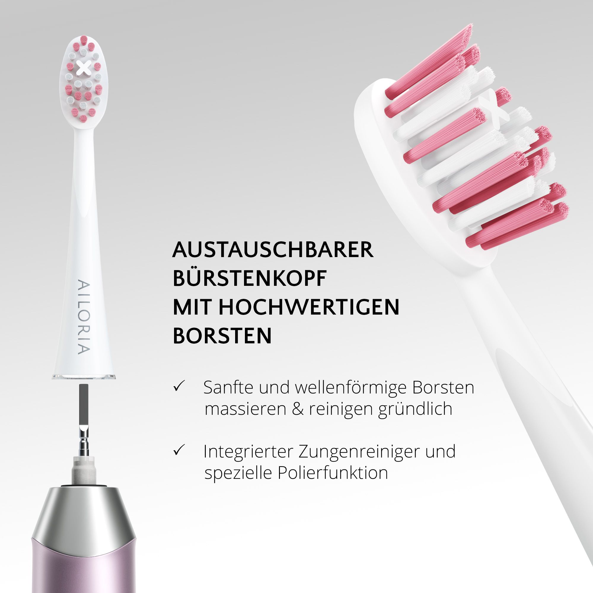 Nahaufnahme des Bürstenkopfes. Text: Austauschbarer Bürstenkopf mit hochwertigen Borsten. AILORIA.