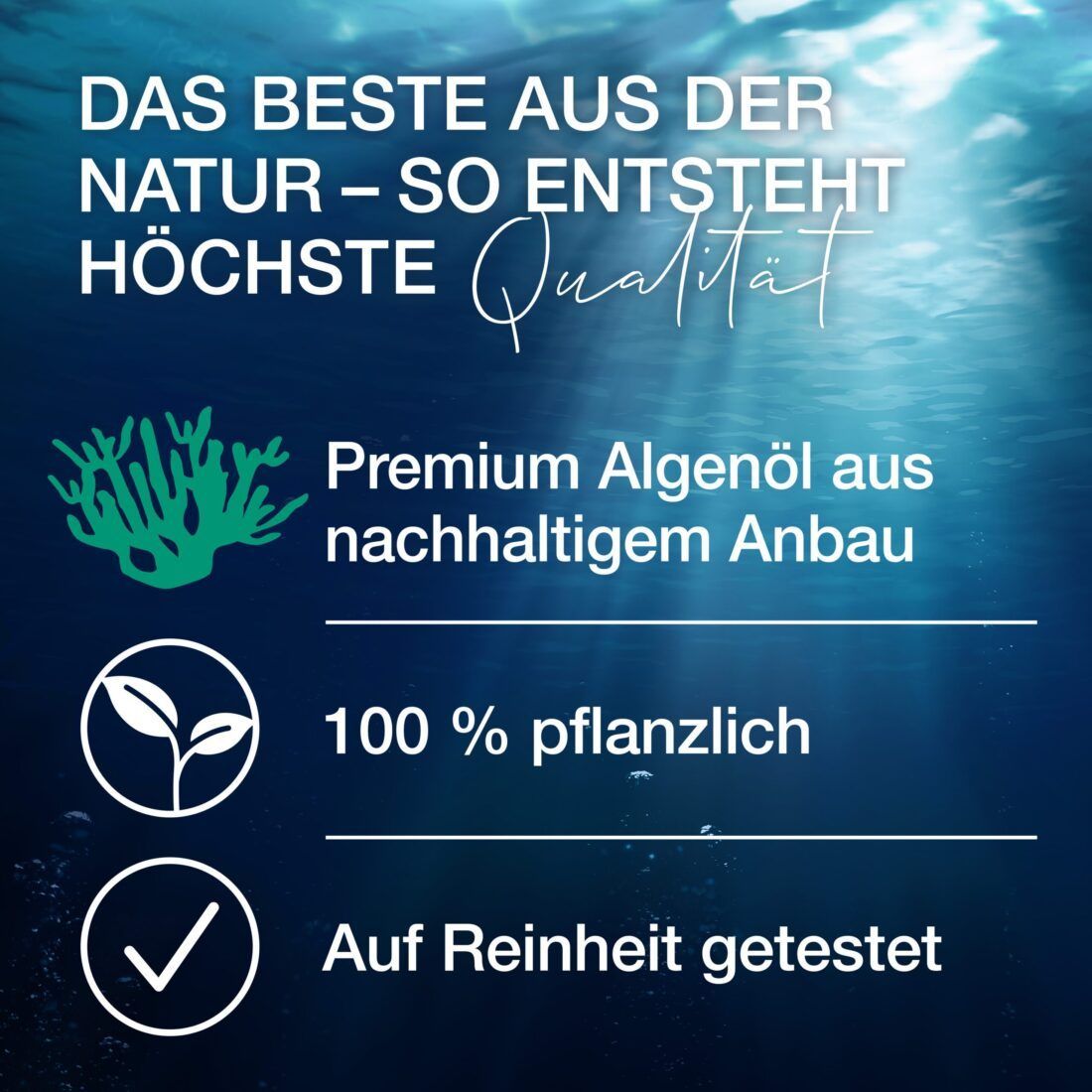 Text auf blauem Hintergrund: Premium Algenöl, 100% pflanzlich, auf Reinheit getestet. Icons.