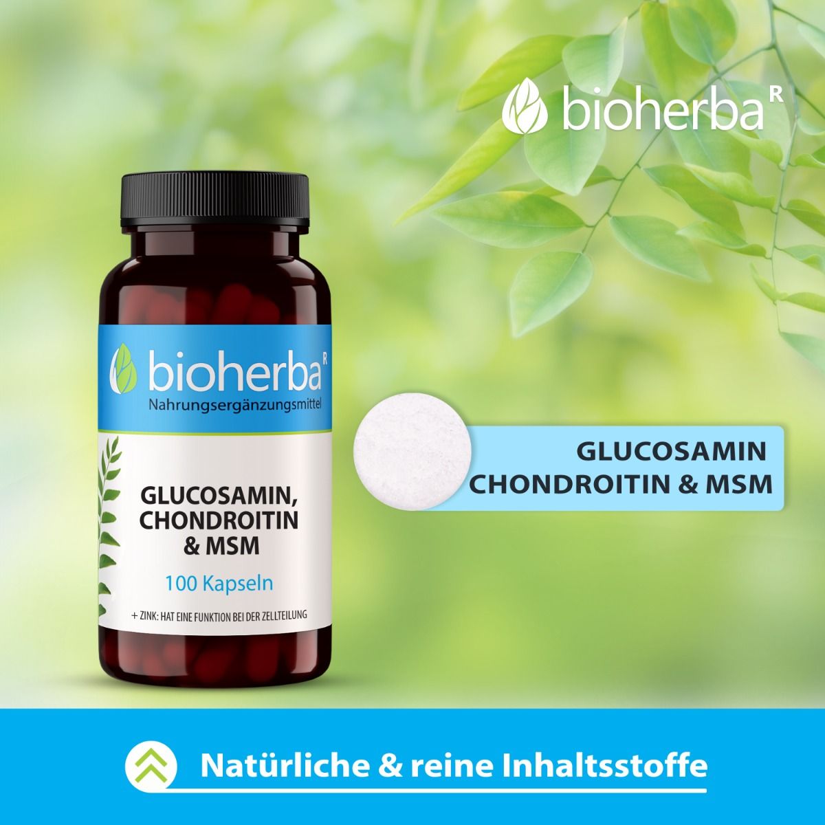 Braune Flasche Bioherba Glucosamin, Chondroitin & MSM Kapseln mit schwarzem Deckel. Aufschrift: 100 Kapseln. Hintergrund: Blätter und Kreis.
