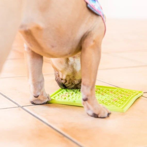 Hund frisst von grüner LickiMat Playdate. Der Hund steht auf einem gefliesten Boden. Der Fokus liegt auf dem Futter auf dem Tuch.