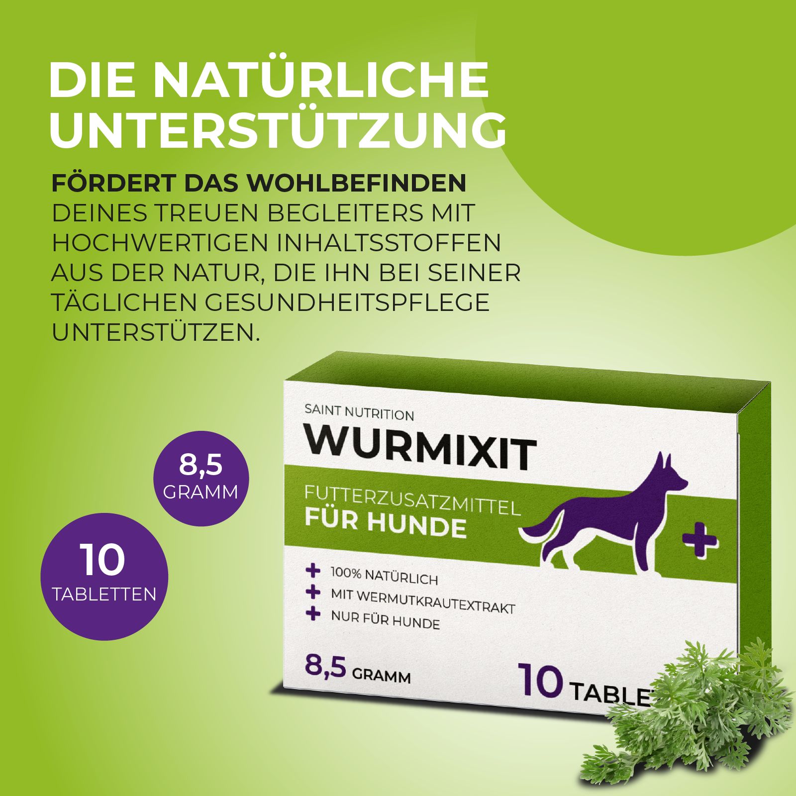 Produktverpackung mit Text: "Wurmixit", "Futterzusatzmittel für Hunde". Grün-weißes Design, Hund-Silhouette. "10 Tabletten", "8,5 Gramm".