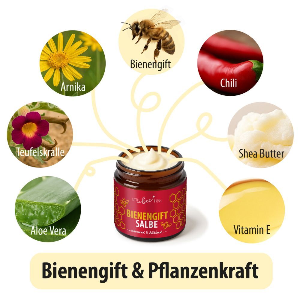 Glas Bienengiftsalbe umgeben von Abbildungen von Pflanzen und Zutaten: Arnika, Chili, Aloe Vera, Shea Butter, Vitamin E.