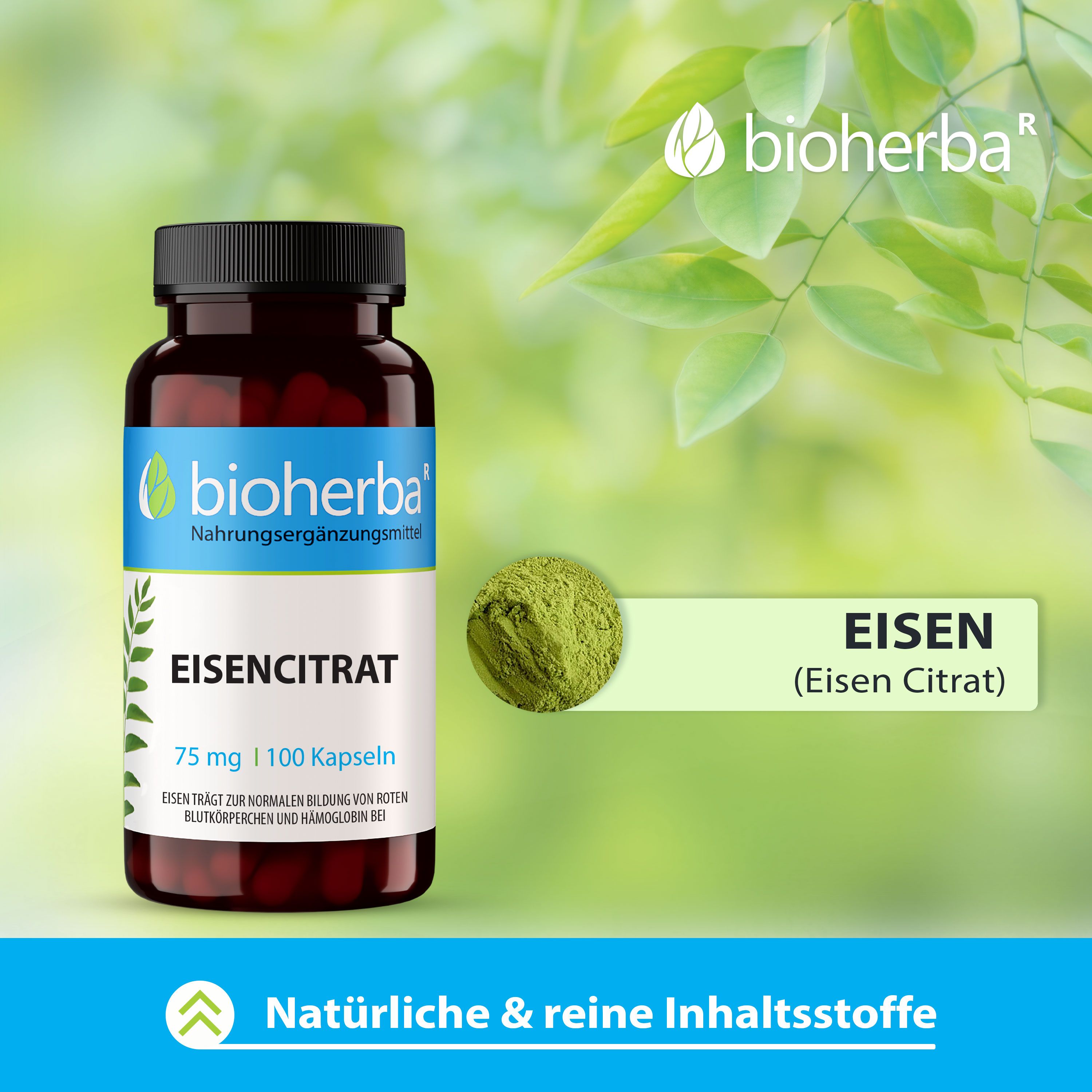 Bioherba Eisen Citrat Kapseln