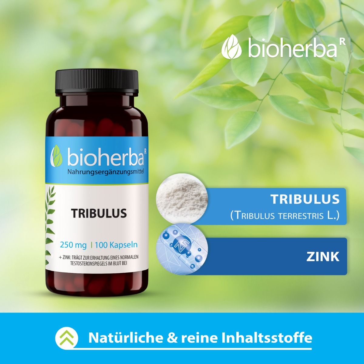 Tribulus 250 mg 100 Kapseln PZN 17189970