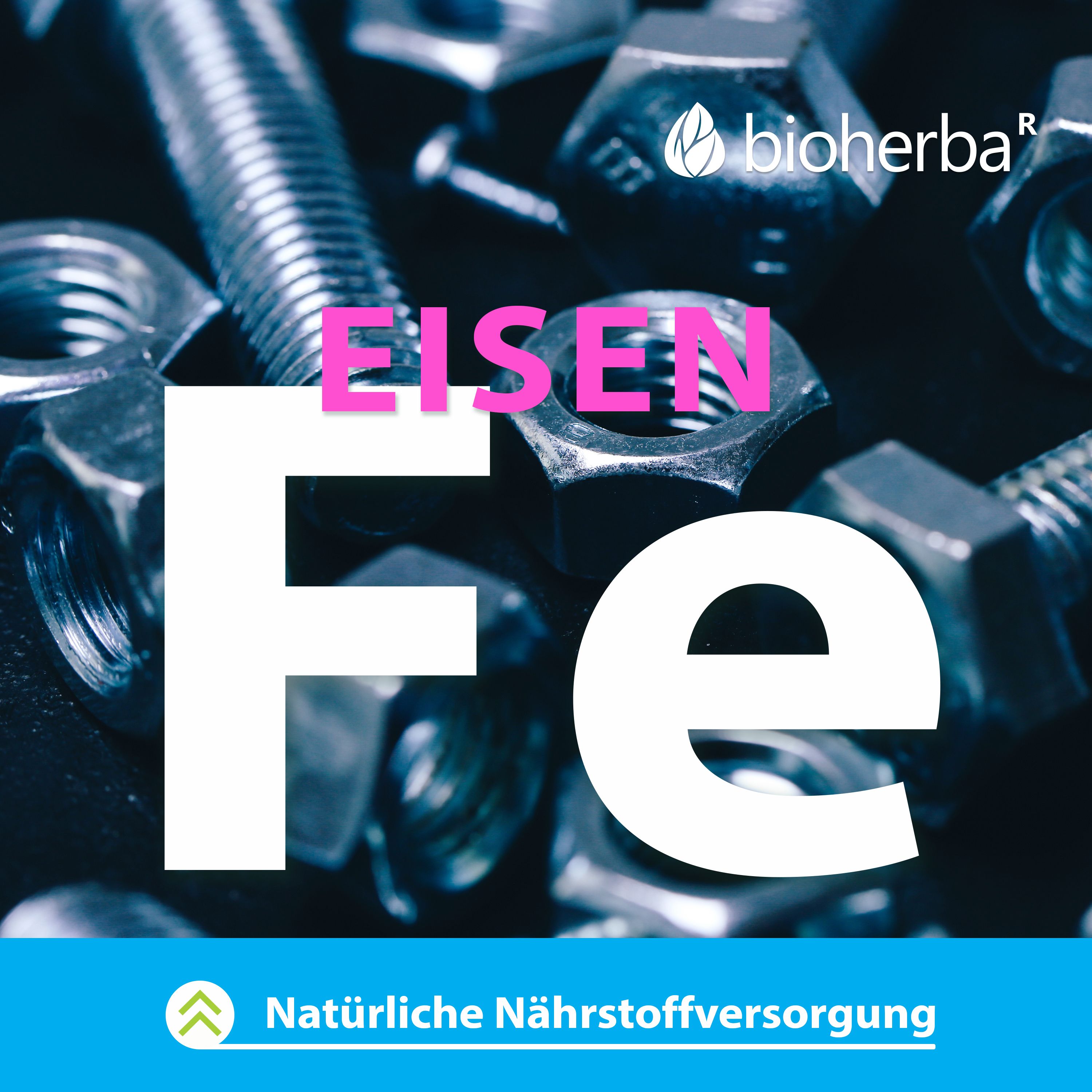 Nahaufnahme von Schrauben und Muttern. Großes 'Fe' für Eisen. Text: Natürliche Nährstoffversorgung. Blauer Hintergrund.