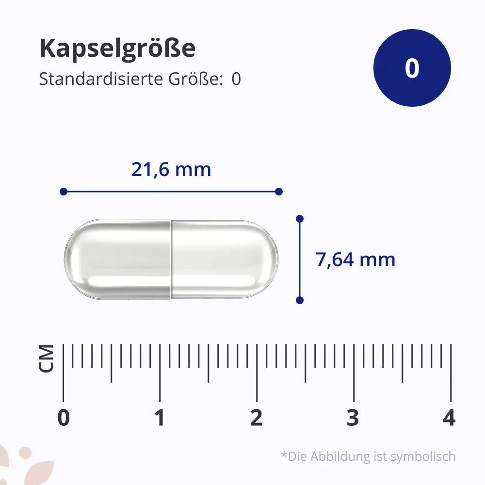 Kapsel, transparente Hülle, 21,6 mm lang, 7,64 mm breit. Maßeinheit in cm. Text: Kapselgröße, Standardisierte Größe: 0.