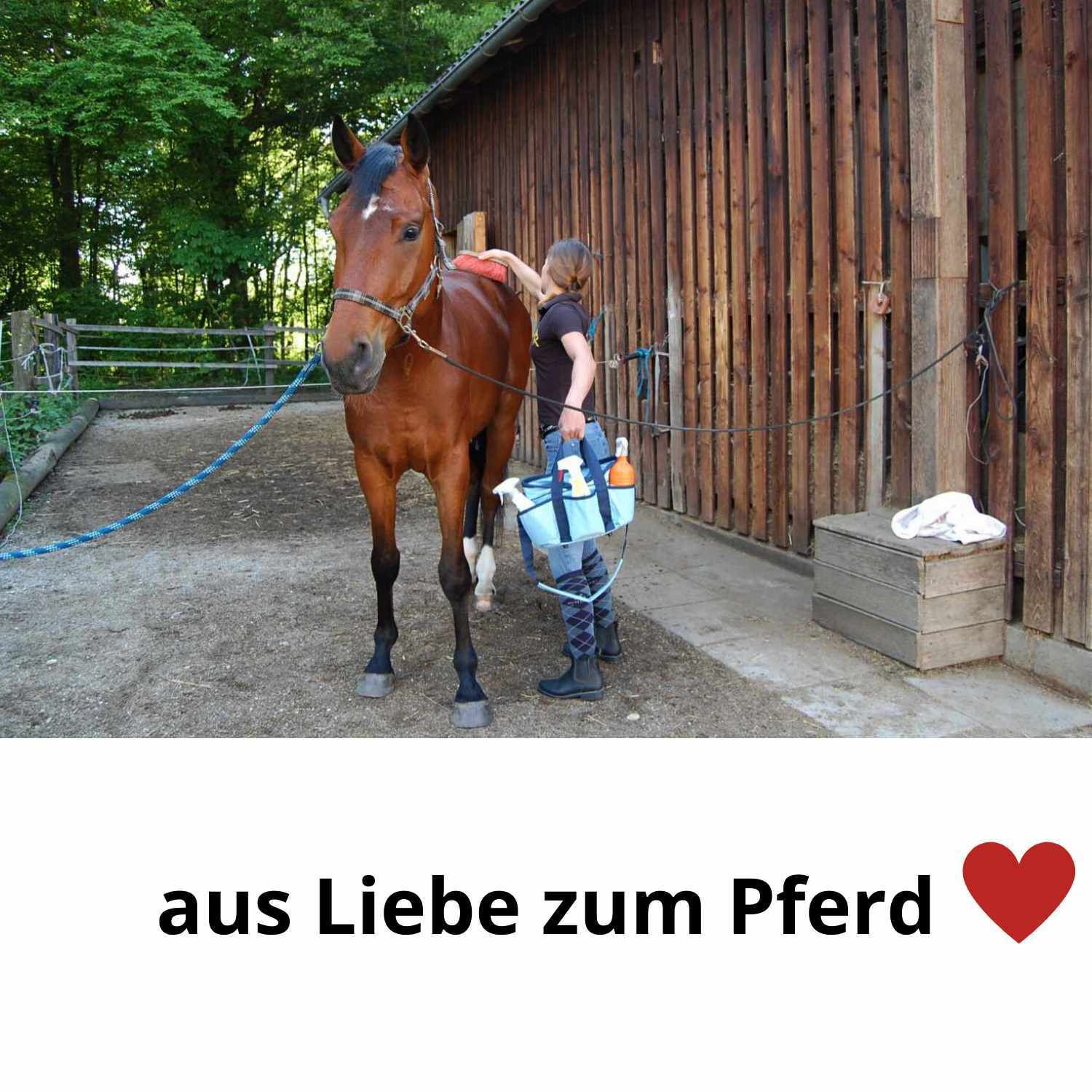 Mähnenbürste, groß