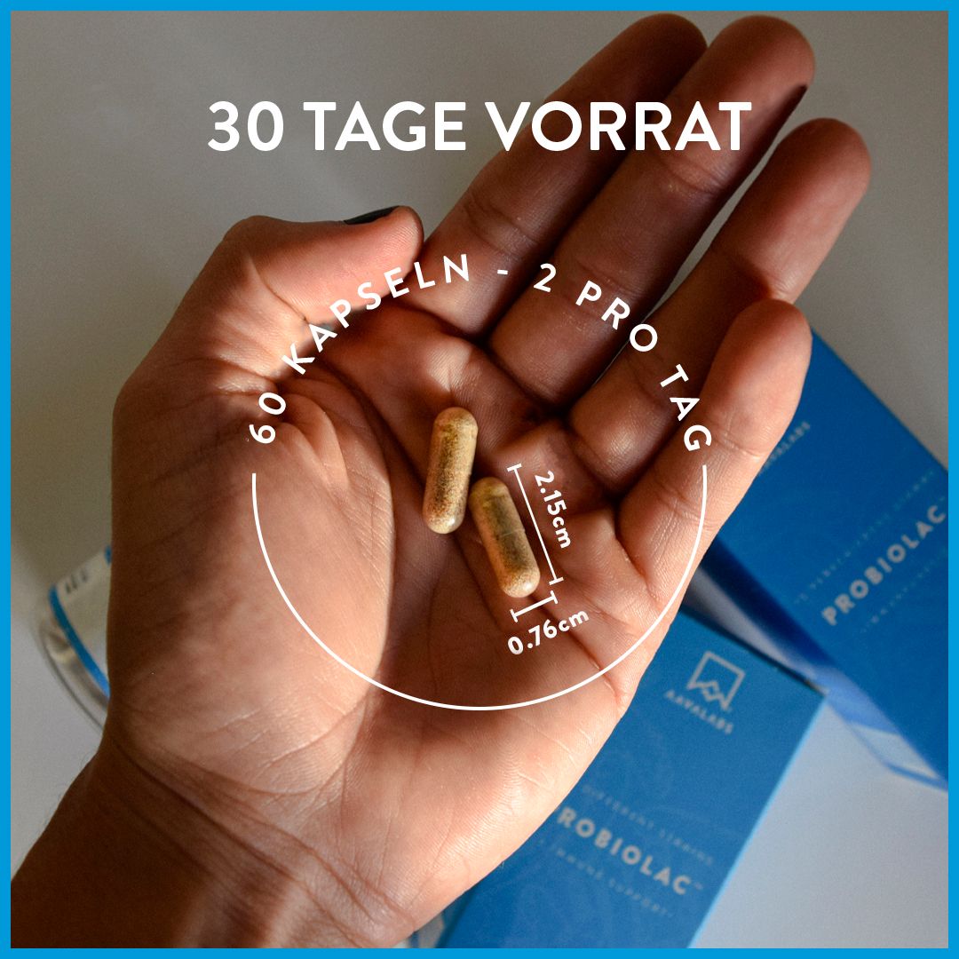 Hand hält zwei Probiolac-Kapseln. Aufschrift: 60 Kapseln - 2 pro Tag. Maße: 2,15cm x 0,76cm.