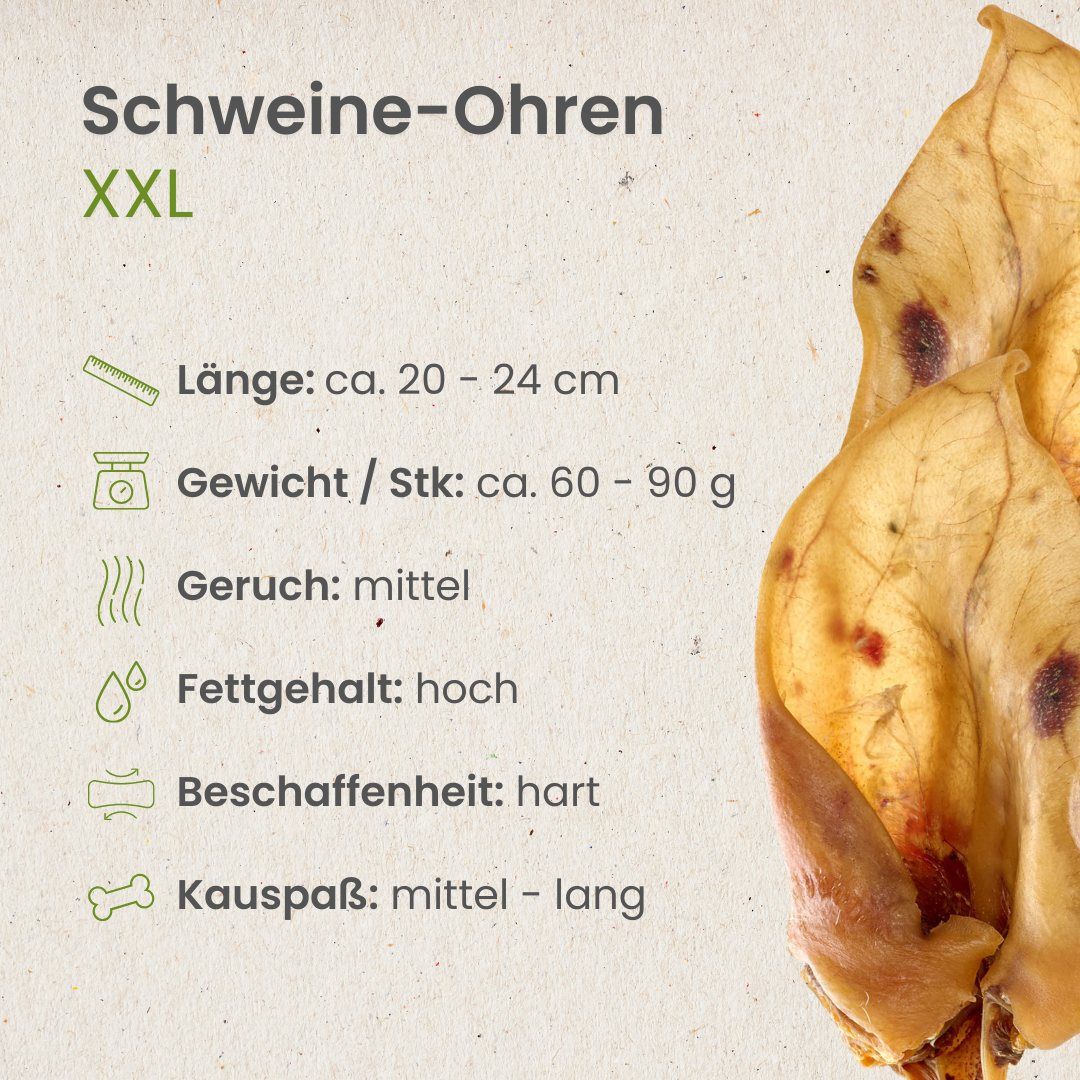 XXL Schweineohren: Länge 20-24 cm, Gewicht 60-90g. Mittelmäßiger Geruch, hoher Fettgehalt, hart.
