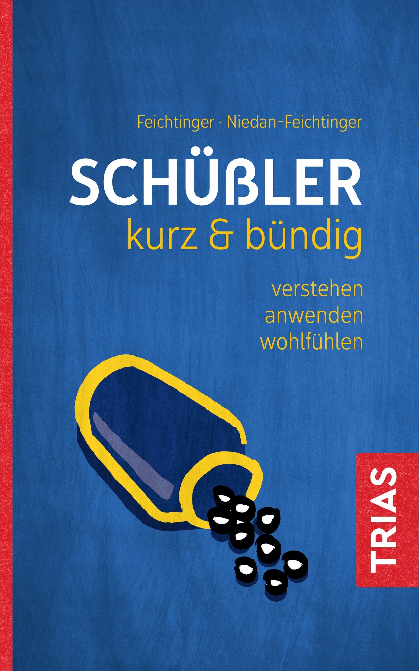 Schüßler kurz und bündig