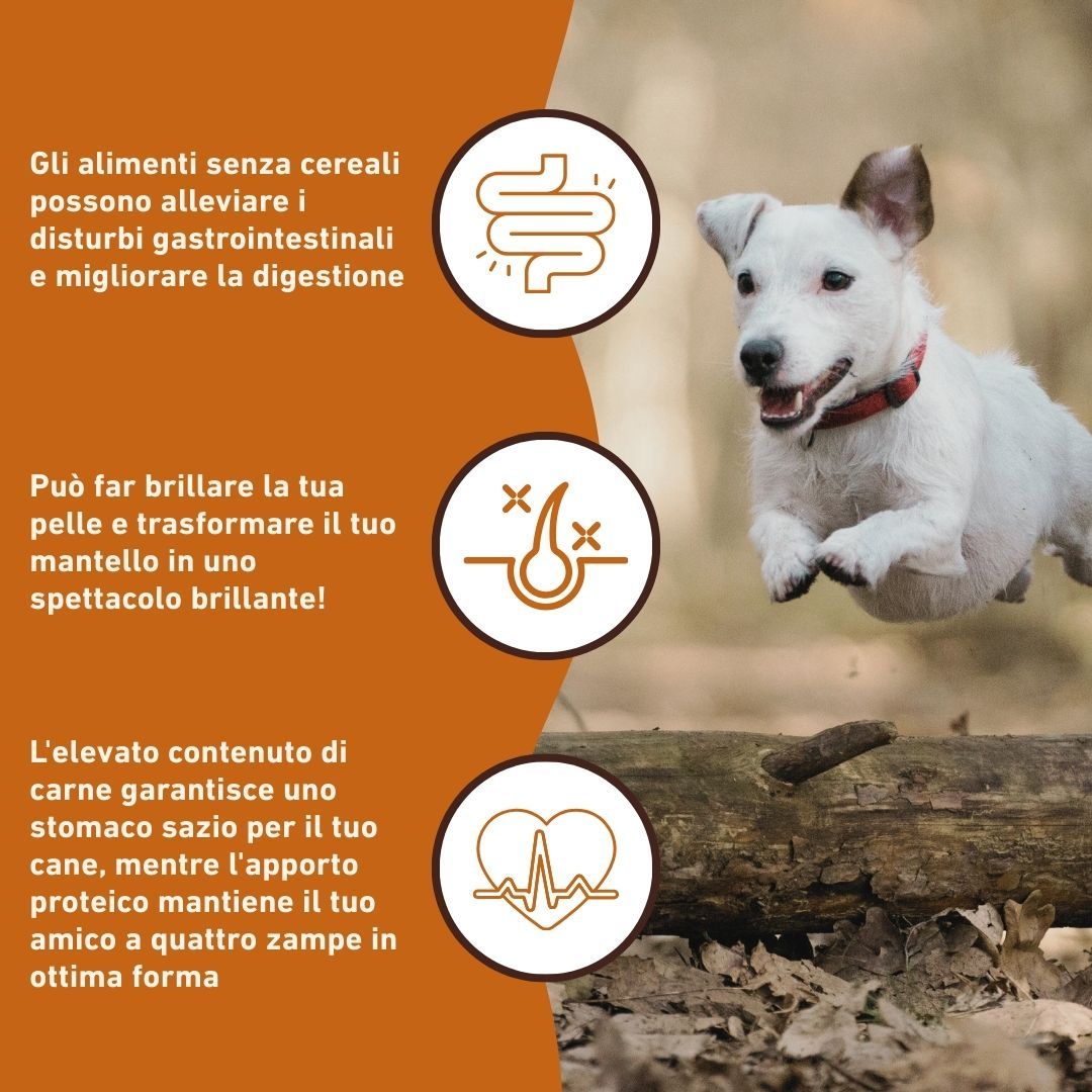 Drei Icons mit Text. Text: Gli alimenti senza cereali possono alleviare i disturbi gastrointestinali.