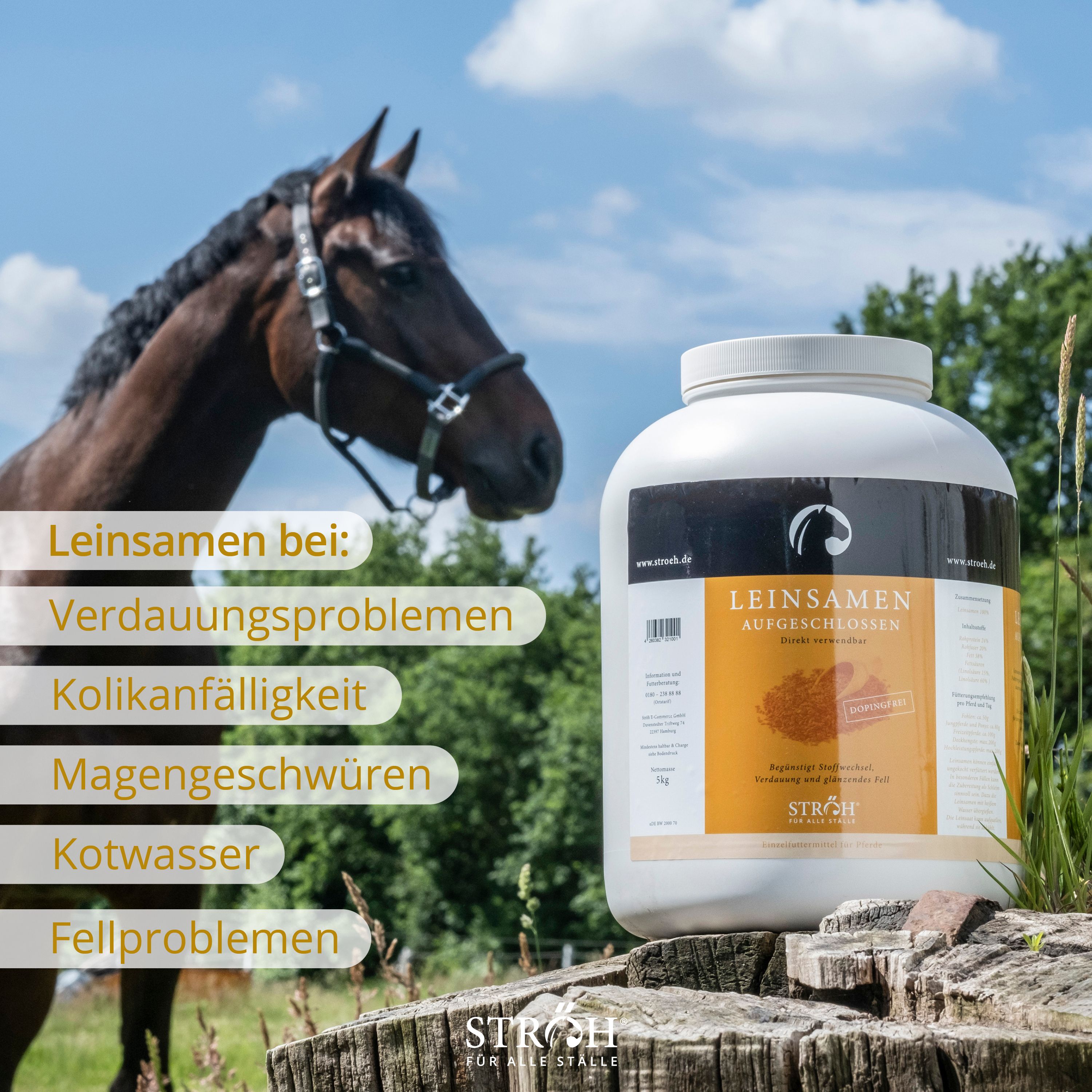 Pferd neben weißem Behälter mit Leinsamen. Text: LEINSAMEN AUFGESCHLOSSEN. Text mit Anwendungsbereichen. Marke STRÖH.