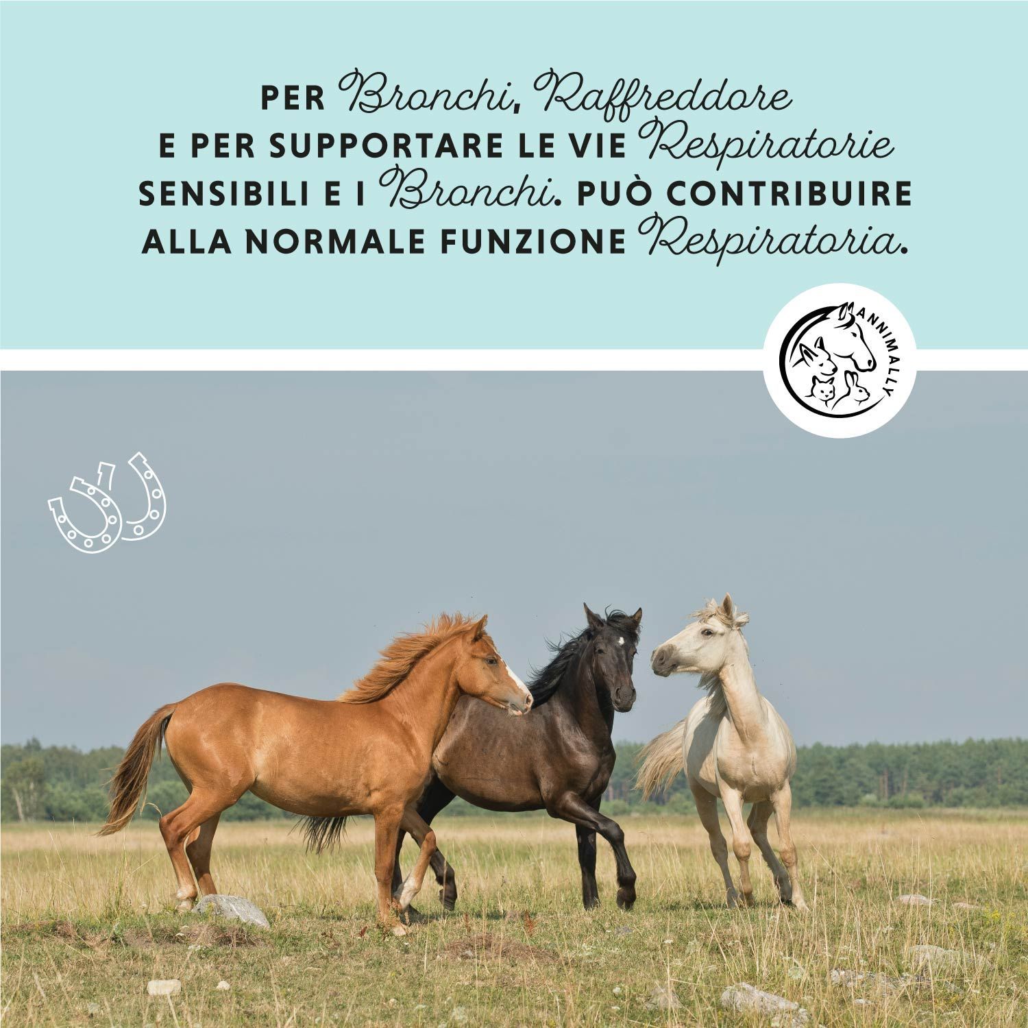 Drei Pferde auf einer Wiese. Text: Für Bronchien, Erkältung und zur Unterstützung der empfindlichen Atemwege und Bronchien.