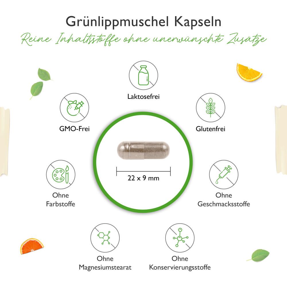 vit4ever Grünlippmuschel 365 St Kapseln