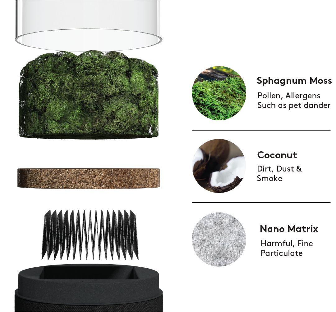 BRIIV 2 Pro Luftreiniger mit App und Messung