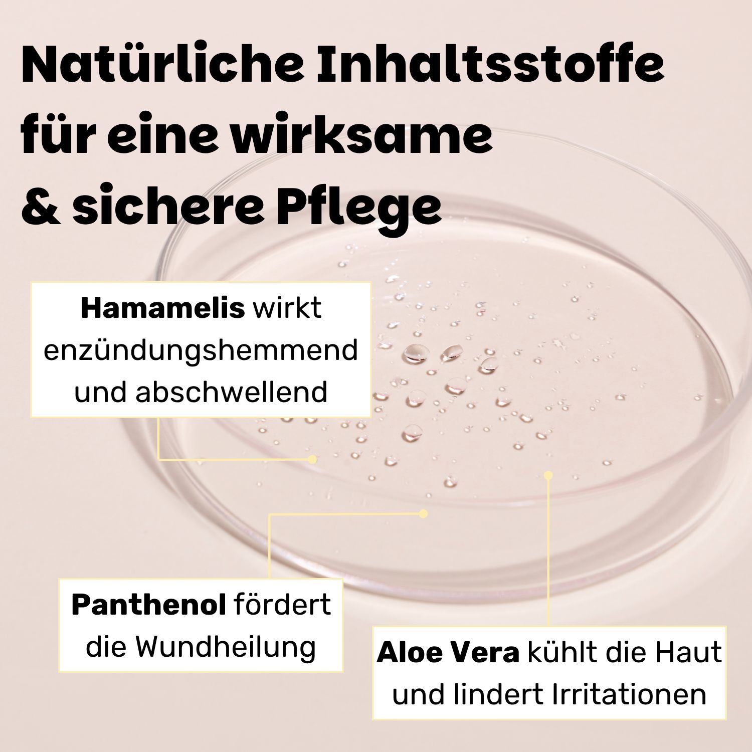 Petrischale mit Flüssigkeit. Text: Natürliche Inhaltsstoffe. Hamamelis, Panthenol, Aloe Vera.