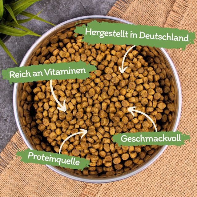10 kg Lecker.Pet® Leo's Adult Geflügel & Forelle Katzenfutter Trockenfutter Vollnahrung