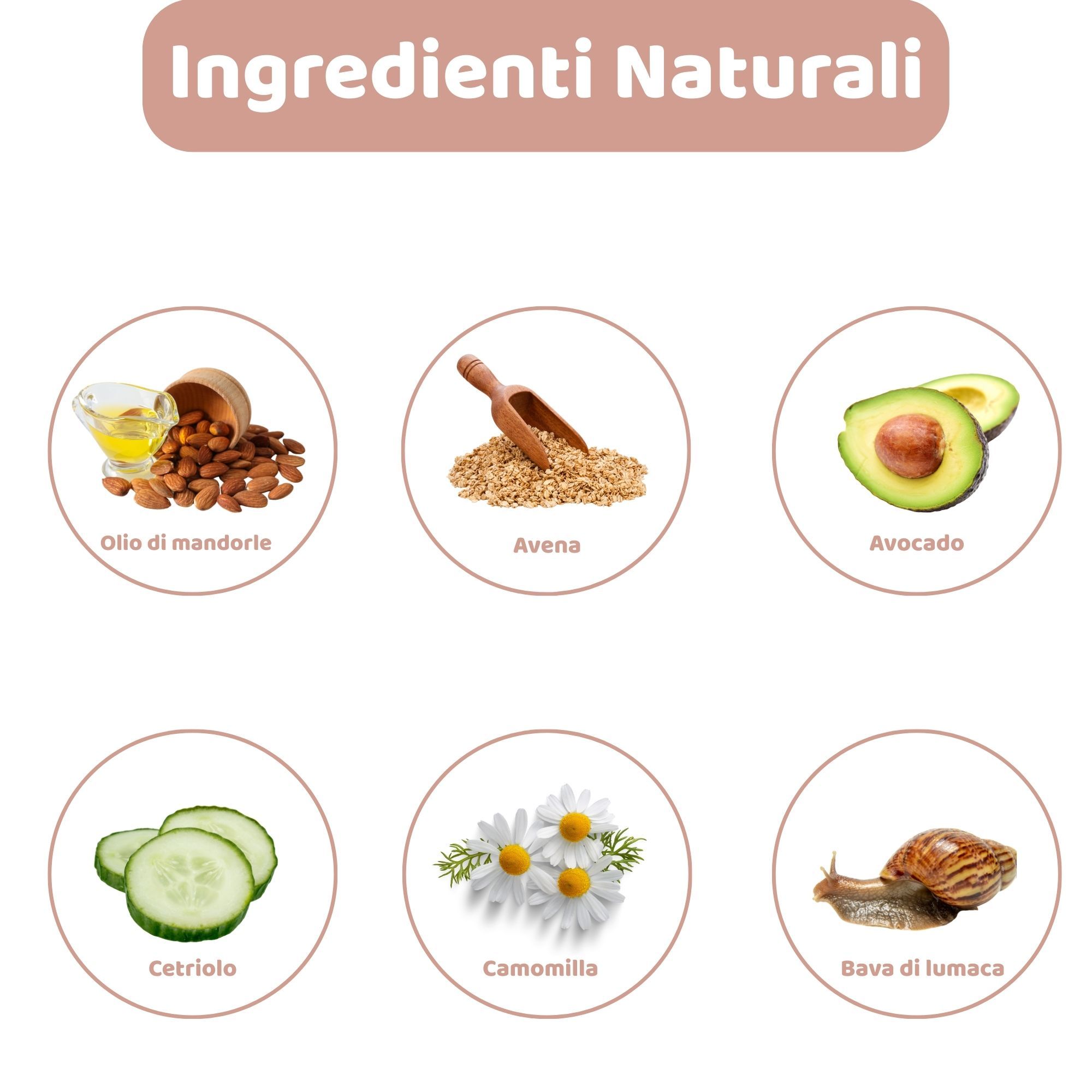 Kreisförmige Abbildungen von Inhaltsstoffen: Mandelöl, Hafer, Avocado, Gurke, Kamille, Schneckenschleim.