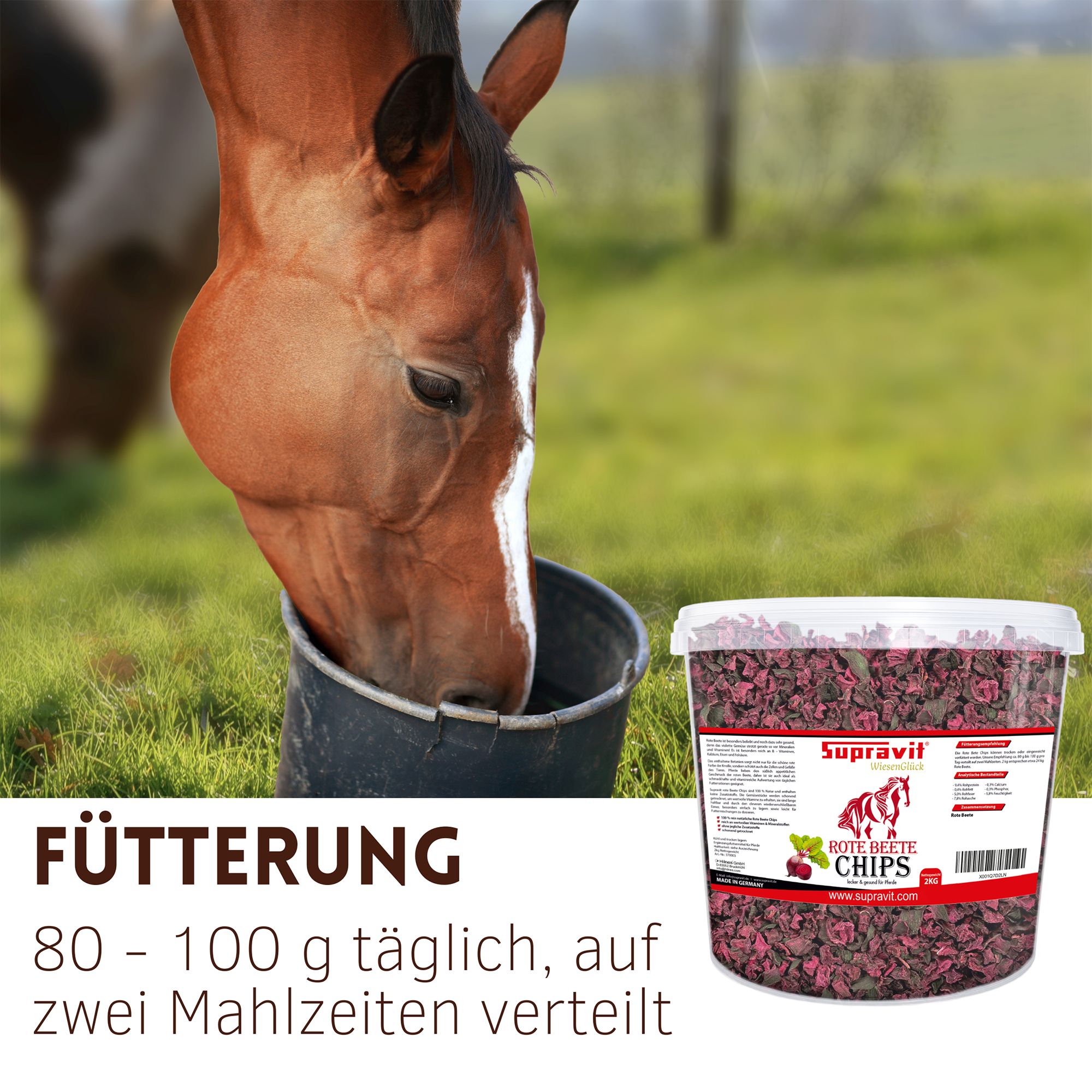 Pferd frisst aus einem Eimer. Eimer mit Rote Bete Chips, Text: Fütterung, 80-100 g täglich, auf zwei Mahlzeiten verteilt.
