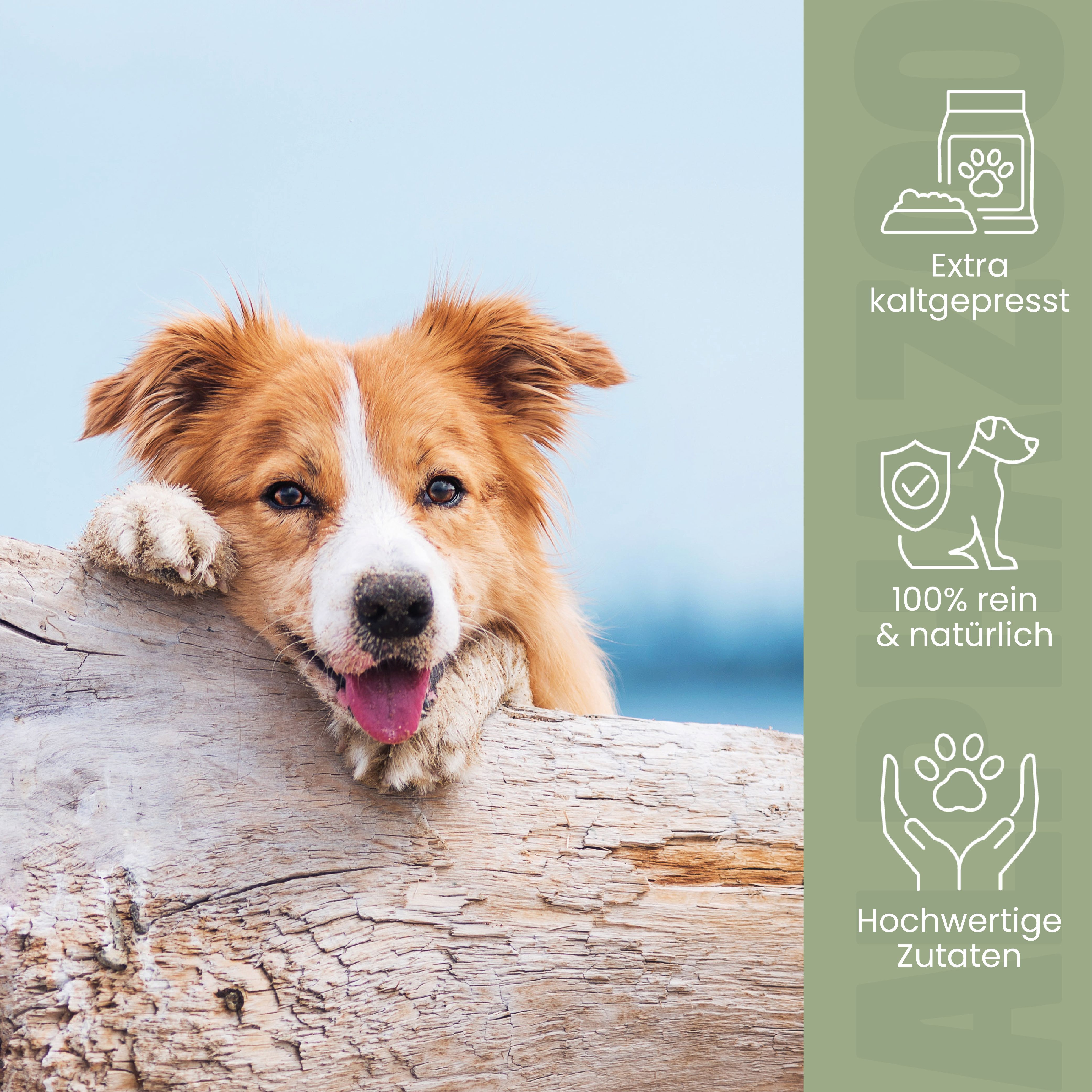 Hund am Holzstamm. Text: Extra kaltgepresst, 100% rein & natürlich, hochwertige Zutaten.