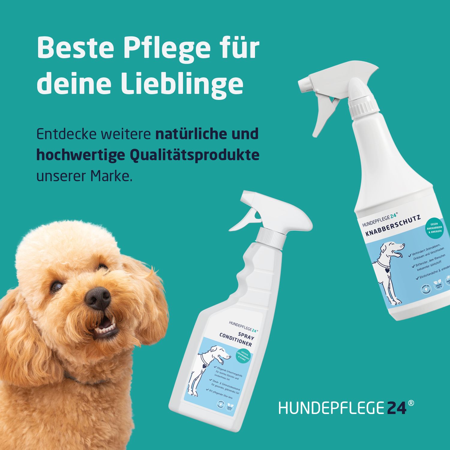 Hundepflege24 Krallenschere / Krallenzange Set Hunde und Katzen inkl. Nagelfeile