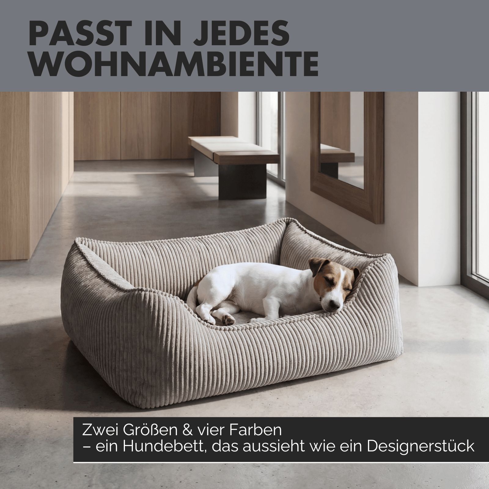 Hund liegt in grauem Hundebett in modernem Wohnzimmer. Text: Passt in jedes Wohnambiente.