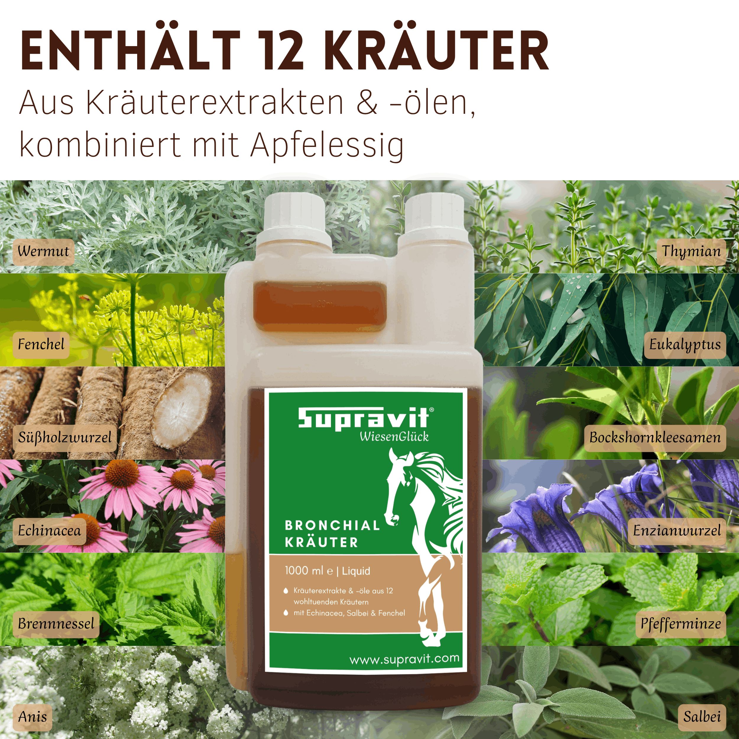 Produktflasche mit Etikett, umgeben von Kräutern. Auf dem Etikett steht "Supravit Bronchialkräuter".