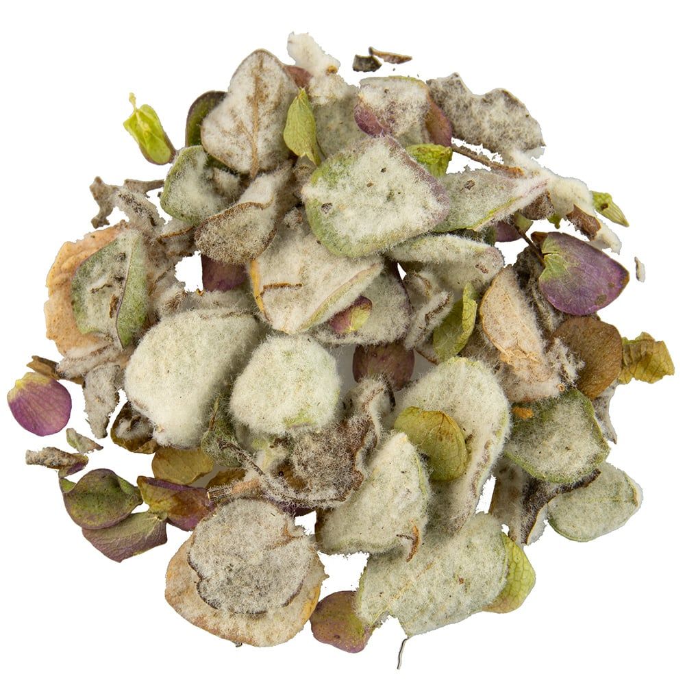 Haufen getrockneter Kräuterblätter. Blätter grünlich-grau, einige mit rosa und gelben Akzenten.