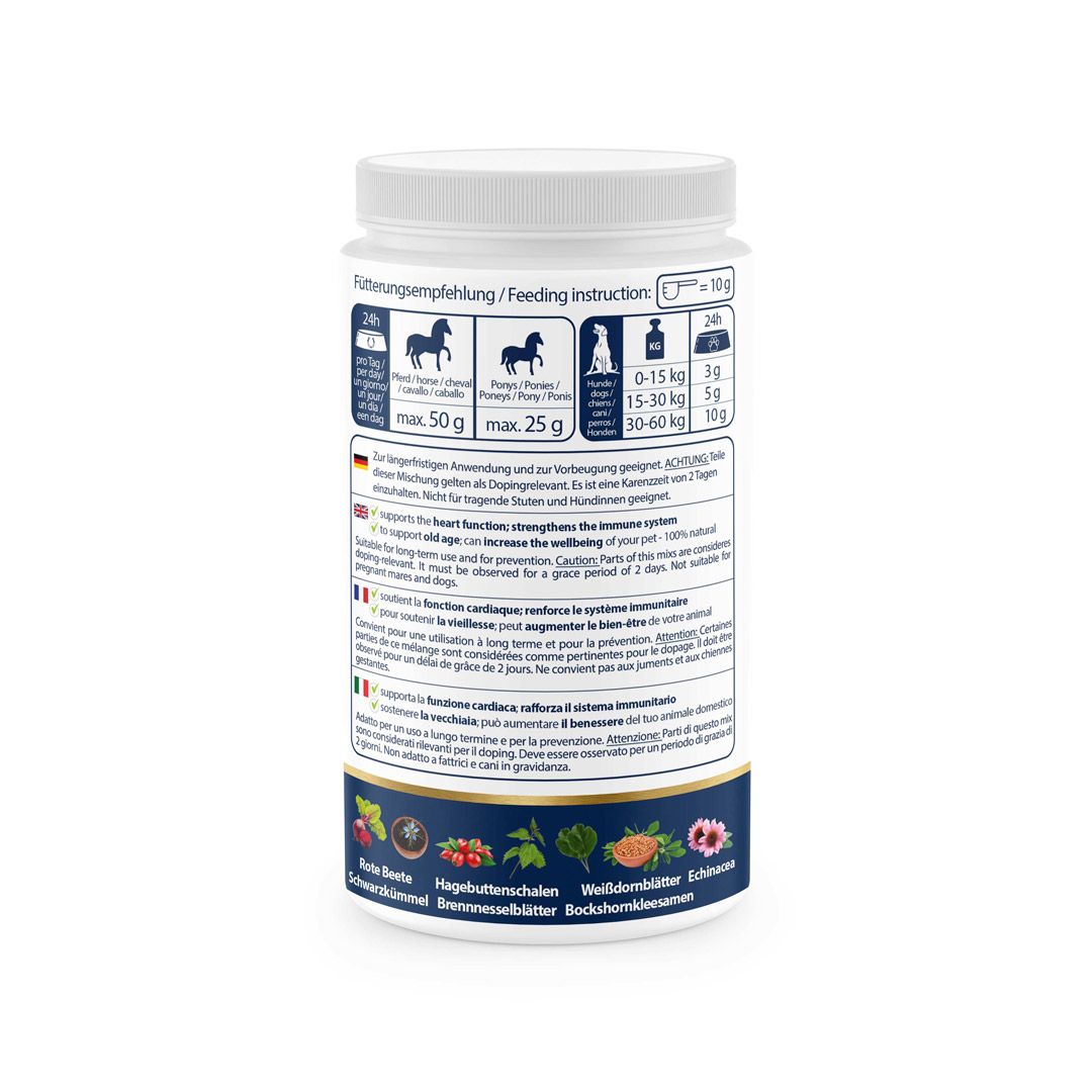 V-POINT® SENIOR Vital - für Herz und Immunsystem - 100% natürliche Kräuter