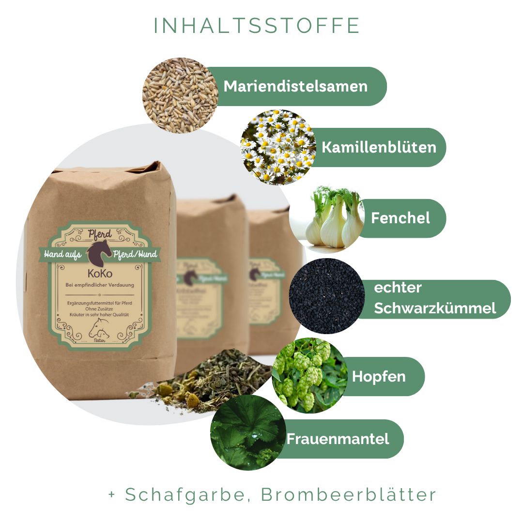 Drei braune Papiertüten mit Produktetikett. Daneben Zutaten: Mariendistelsamen, Kamillenblüten, Fenchel, echter Schwarzkümmel, Hopfen, Frauenmantel.