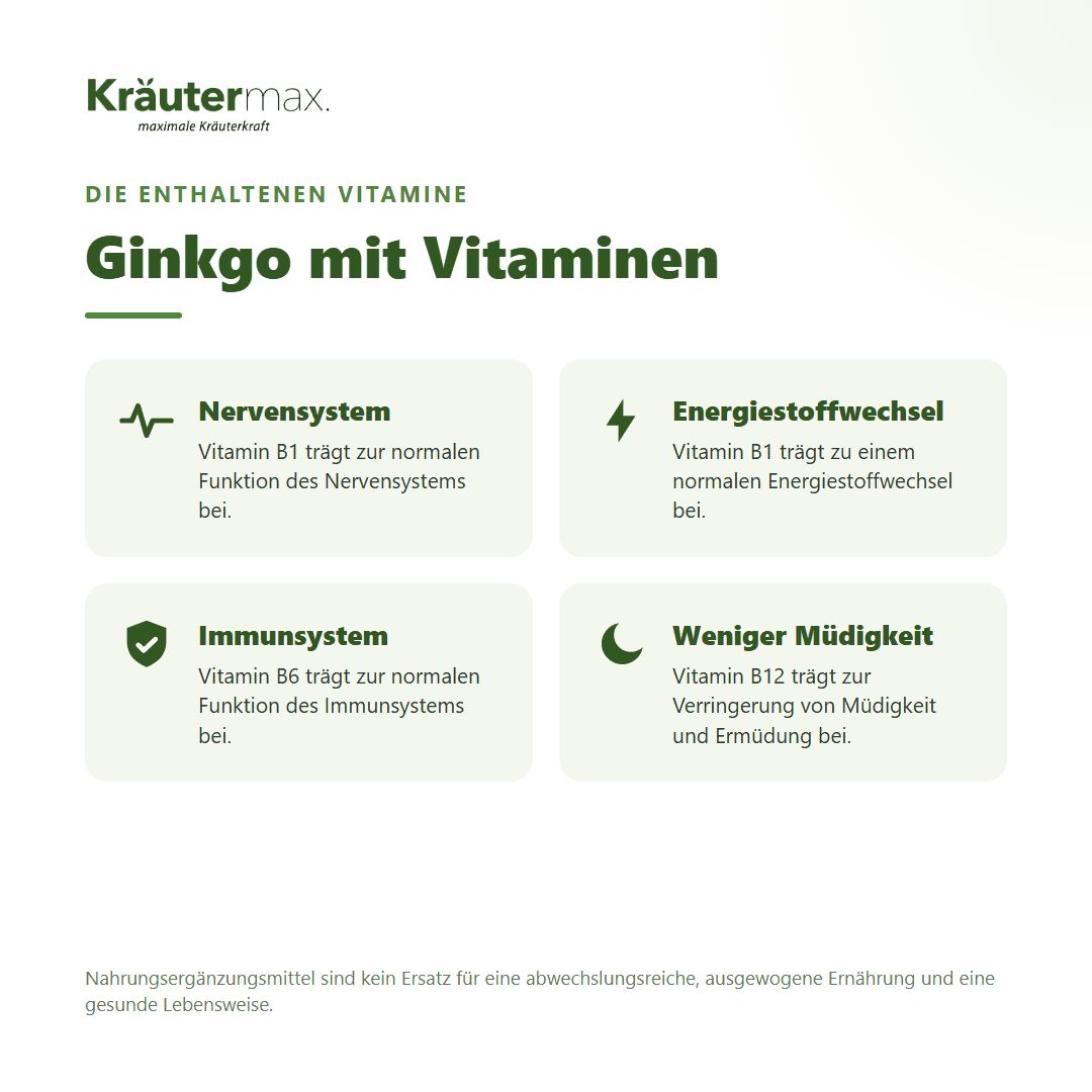 Übersicht der Vitamine in Kräutermax Ginkgo mit Vitaminen: Nerven-, Energiestoffwechsel, Immunsystem, weniger Müdigkeit.