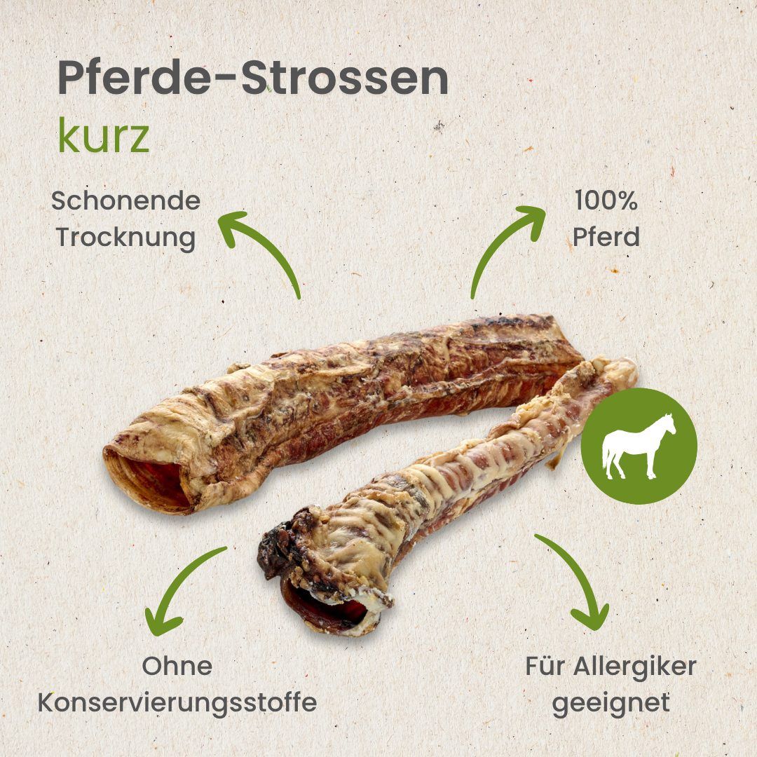 Hund kaut auf einem Pferde-Strossen auf einem Baumstamm, daneben mehrere Strossen.