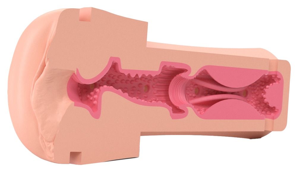 Schnittmodell einer anatomisch geformten Öffnung. Innenstrukturen und rosa Farbe sichtbar.