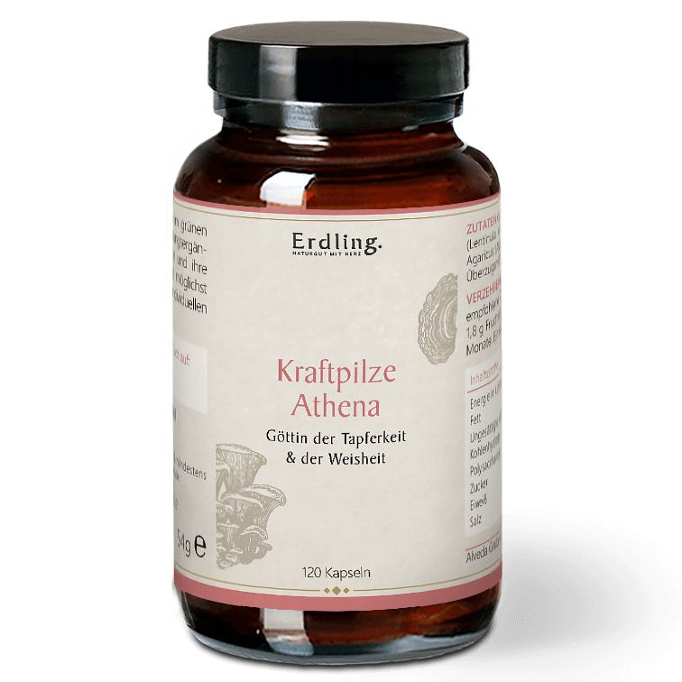 Erdling BIO Kraftpilze Athena – Vitalpilz Synergetikum