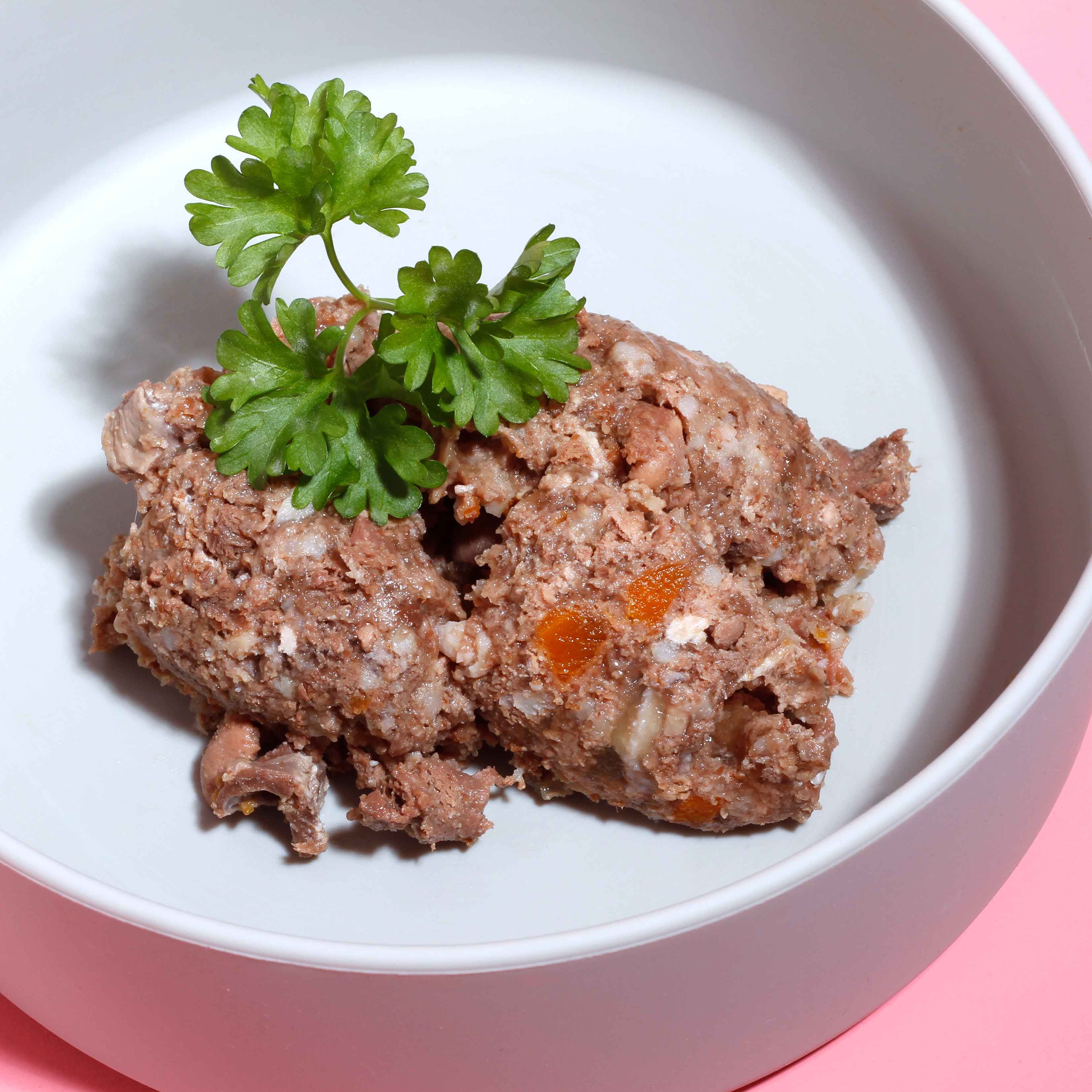 Weiße Schale mit Futter. Gehacktes Fleisch mit Gemüse und Reis. Draufsicht.