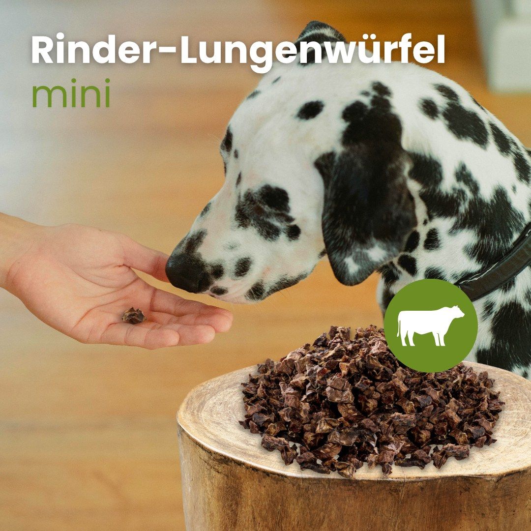 Kauartikel.com Rinder-Lungenwürfel, Mini