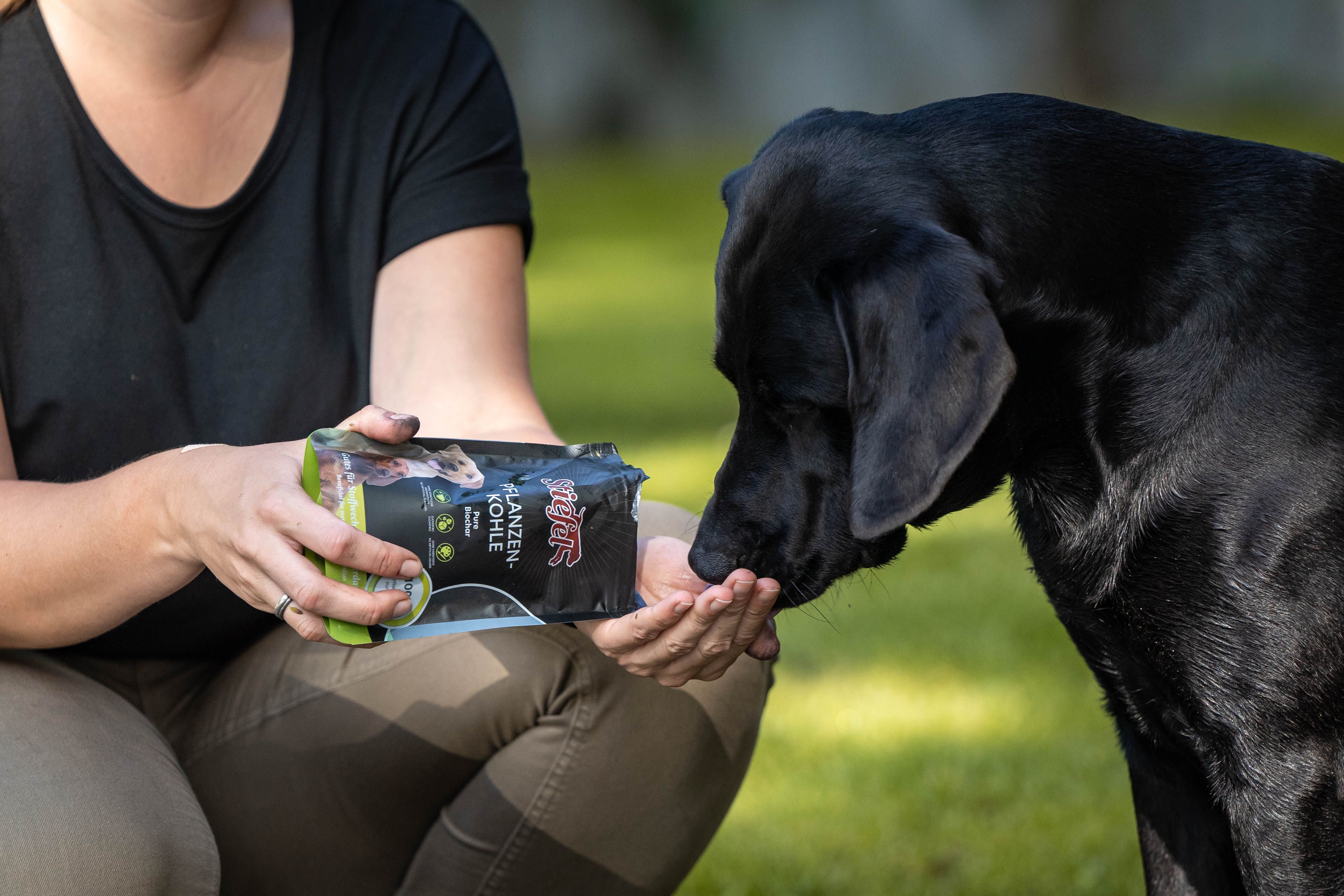 Person hält eine Packung Stiefel Pflanzenkohle. Ein Hund nähert sich der Hand. Der Hintergrund ist grün.